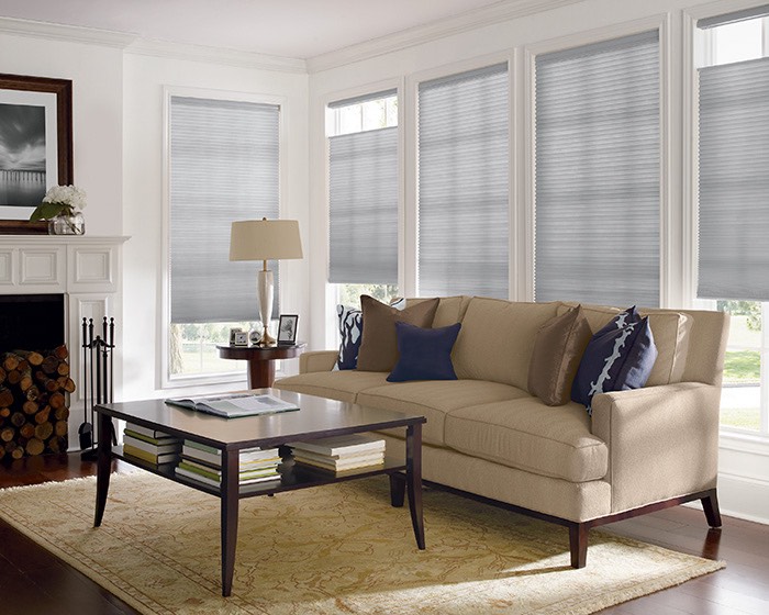 Living room with cellular shades
